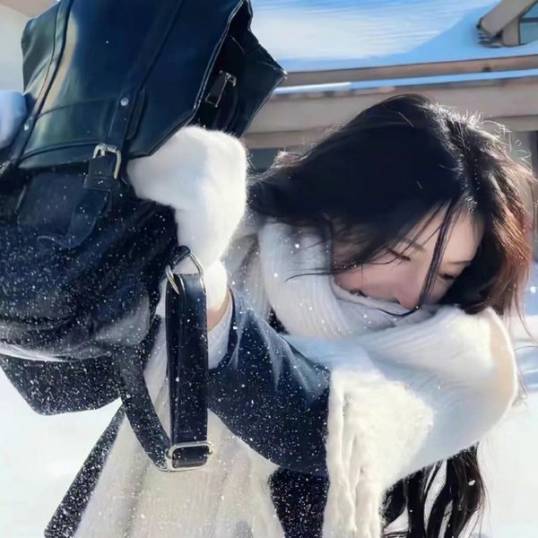 极地先锋
